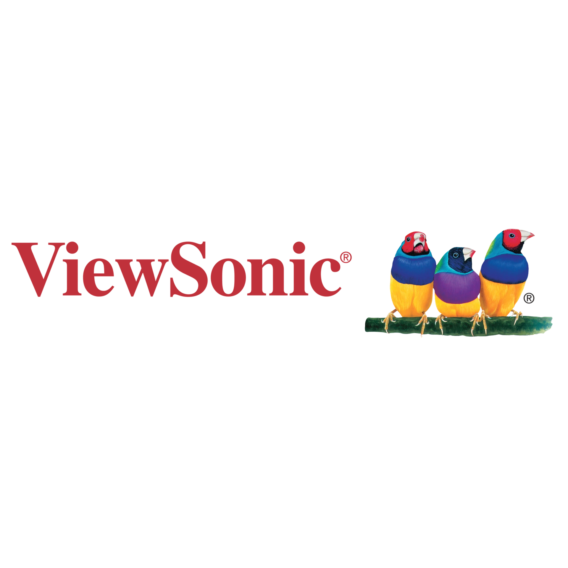 Viewsonic Interactive Display UAE
